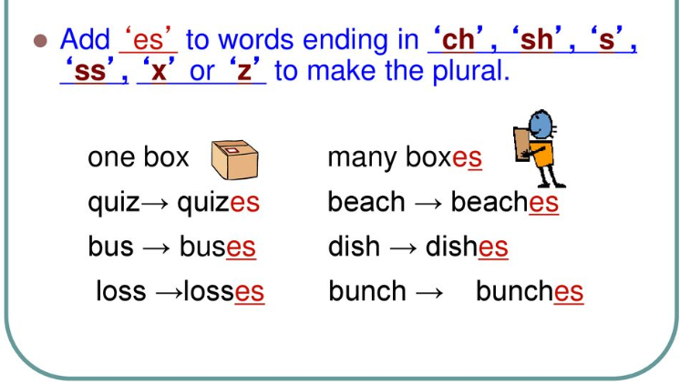 plural-nouns-rules-and-examples